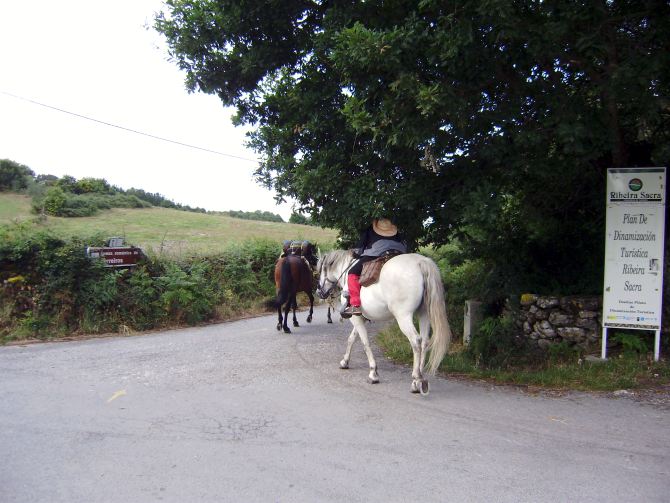 El Camino de Santiago